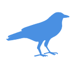 blue crow